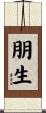朋生 Scroll