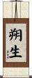 朔生 Scroll