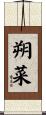朔菜 Scroll