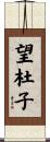 望杜子 Scroll