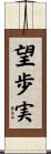 望歩実 Scroll
