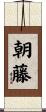 朝藤 Scroll