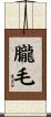 朧毛 Scroll