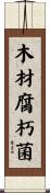 木材腐朽菌 Scroll