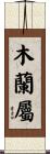 木蘭屬 Scroll