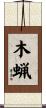 木蝋 Scroll