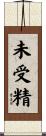未受精 Scroll