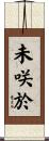 未咲於 Scroll