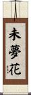 未夢花 Scroll