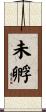 未孵 Scroll