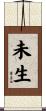 未生 Scroll