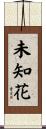 未知花 Scroll