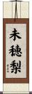 未穂梨 Scroll