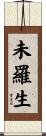 未羅生 Scroll