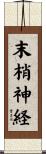末梢神経 Scroll