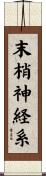 末梢神経系 Scroll