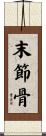 末節骨 Scroll
