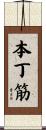 本丁筋 Scroll