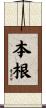 本根 Scroll