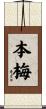 本梅 Scroll