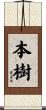 本樹 Scroll
