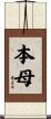 本母 Scroll