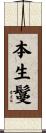 本生鬘 Scroll