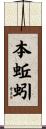 本蚯蚓 Scroll