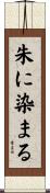 朱に染まる Scroll