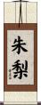 朱梨 Scroll