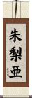 朱梨亜 Scroll