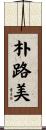 朴路美 Scroll
