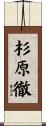 杉原徹 Scroll
