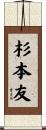杉本友 Scroll