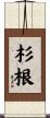 杉根 Scroll