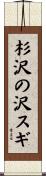 杉沢の沢スギ Scroll