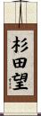 杉田望 Scroll