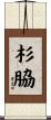 杉脇 Scroll