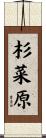 杉菜原 Scroll