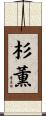 杉薫 Scroll