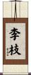 李枝 Scroll
