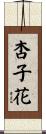 杏子花 Scroll