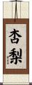 杏梨 Scroll