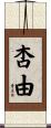 杏由 Scroll