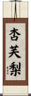杏芙梨 Scroll