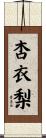杏衣梨 Scroll