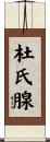 杜氏腺 Scroll