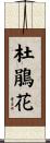 Azalea Scroll