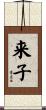来子 Scroll