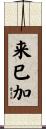 来巳加 Scroll